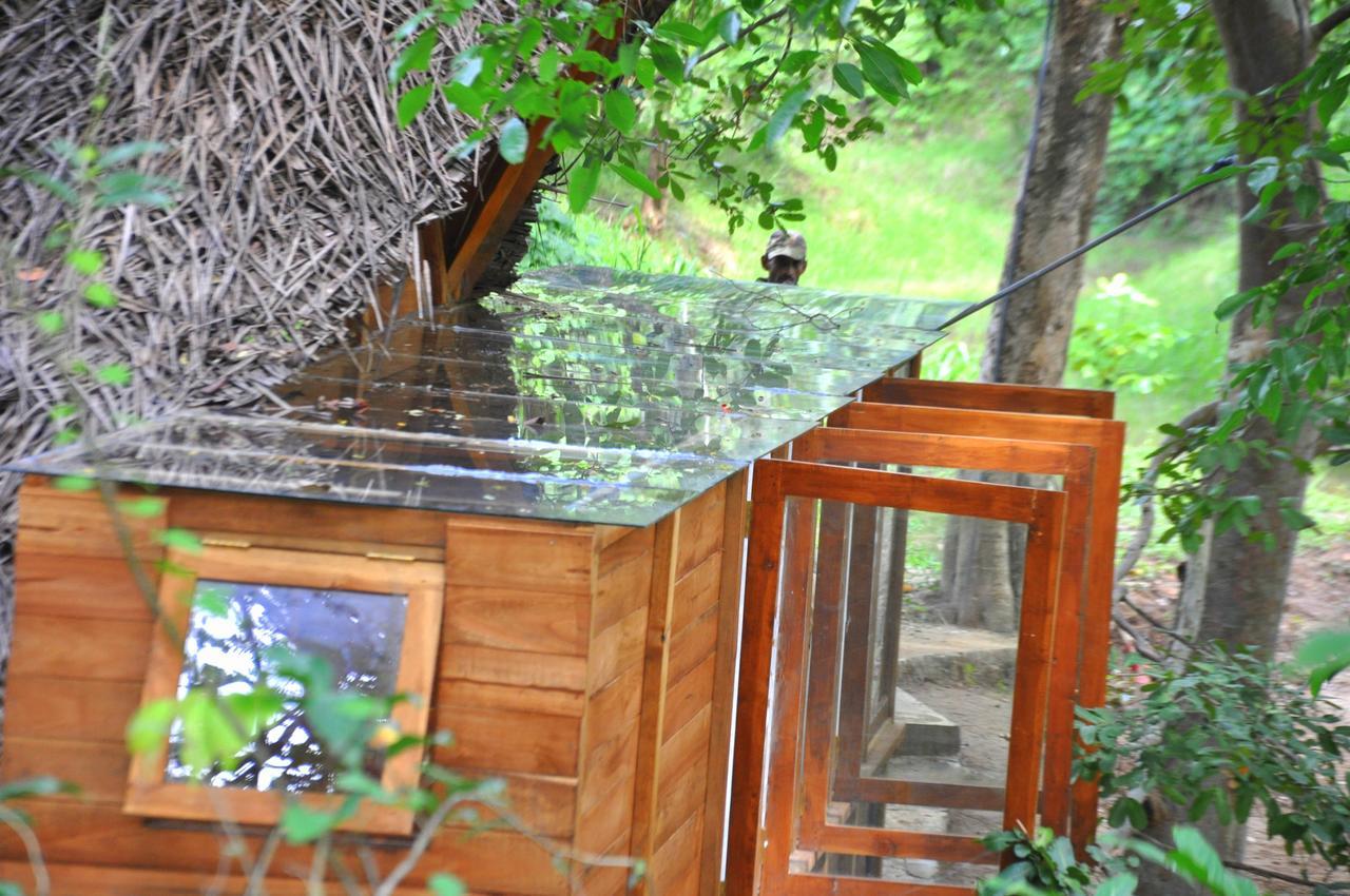 Villa Raintree Dambulla Exterior foto