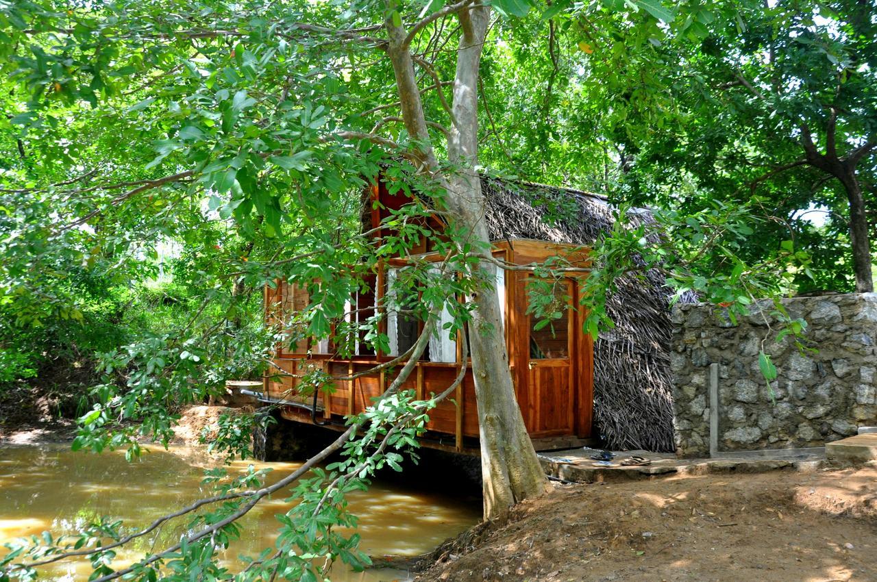 Villa Raintree Dambulla Exterior foto