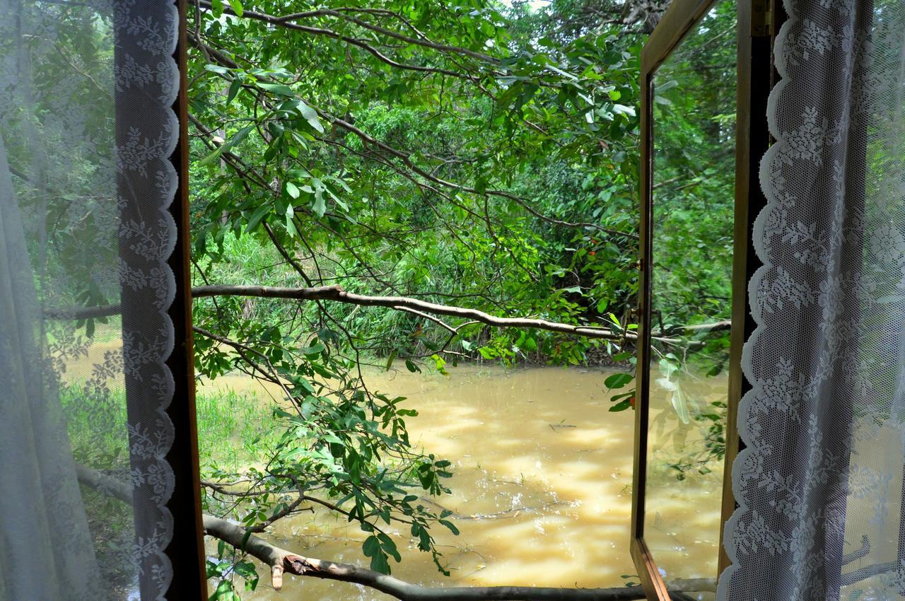 Villa Raintree Dambulla Exterior foto